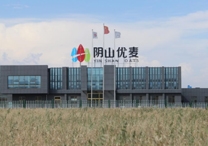 權(quán)威！陰山優(yōu)麥被認(rèn)證為“中國有機(jī)燕麥第 一品牌”